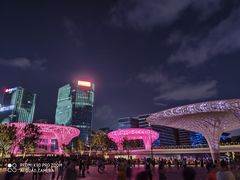 -宝安西湾红树林湿地公园