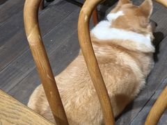 -肥朵食堂(带梦胡同店)