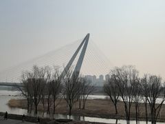-永定河休闲森林公园