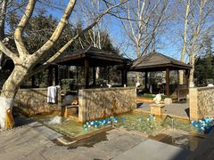 -春晖园度假酒店温泉