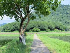-八卦田遗址公园