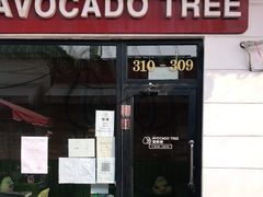 门面-油梨树AVOCADO TREE(顺义新国展店)