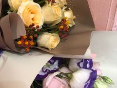 -百好乐宠物友好餐厅(朝外大街店)