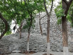 景点-紫荆山公园