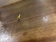 -小杨烤肉(朱雀店)