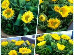 android_upload_pic-双季花艺园艺市场(浦东店)