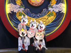 -E+有冰工厂·昆仑寒宫2(五角场店)