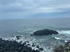 -涉地可支