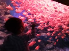 -多彩贵州城极地海洋世界