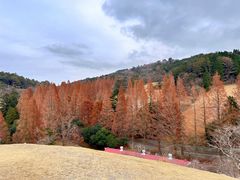 -神户市立六甲山牧场