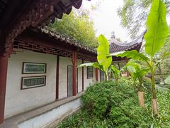 -秋霞圃