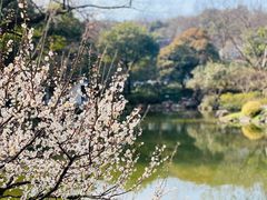 -杭州植物园