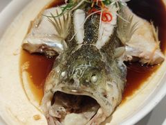 -普天和酒楼·新津菜·烤鸭(天津之眼店)