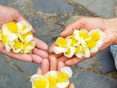 -山涧人家·旺山农家菜(旺山店)