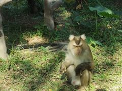 -深圳野生动物园