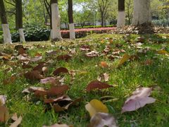 -白塘生态植物园