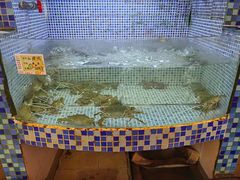 -胖大嫂渔家排档·全海景餐厅(渔村店)