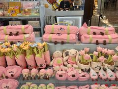 -上海浦东国际机场-T2航站楼