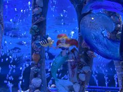 -太平洋海底世界