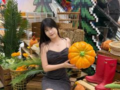 -友谊阳光城