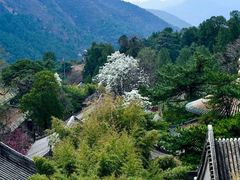 -潭柘寺景区