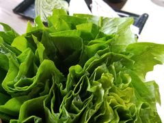 -探窝·竹笙椰子鸡(杨箕店)