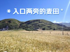 -墨石公园景区