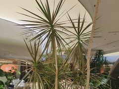 -枕水江南(铁西万象汇店)