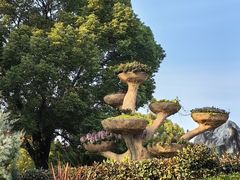 -七宝老街-闵行市民文化广场