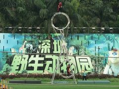 -深圳野生动物园