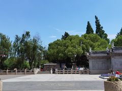 -蔡阿水羊肉店