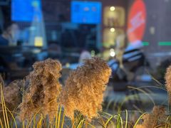 -小馋猫(佳兆业西山吓庭苑店)