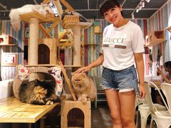 -小时光咖啡馆(开森度假森林店)