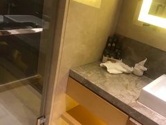 -苏州金鸡湖文博诺富特酒店