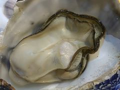 桑拿蠔-天宝食坊·啫啫煲大排档(西华路店)