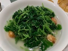 清汤蒜头苋菜-利苑酒家(金宝店)