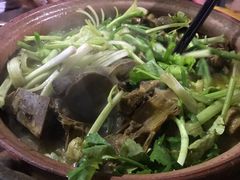 -霞姐屯昌枫木香草鸭店(海螺店)