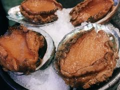 -仙桐吉宴铁板烧·精致料理