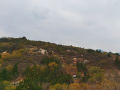 -白水寺森林公园
