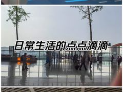-青岛胶东国际机场