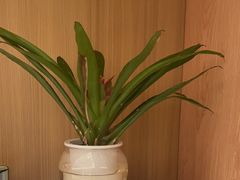 -和记小菜(名品店)
