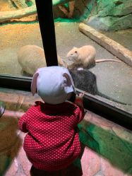 -酷嗒动物文化乐园(cutezoo西溪乐天城店)