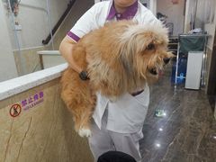-宠爱国际动物医院·消化内科·心肾内科·ISFM猫友好(望京店)