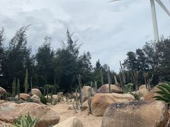 -六鳌翡翠湾滨海度假景区