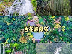 -海南霸王岭国家森林公园