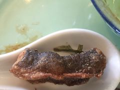 -锦江中华村农家乐饭庄