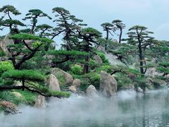 -罗红摄影艺术馆