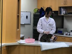 -联合动物医院(光谷诊疗中心)