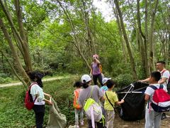 -青龙山国家森林公园