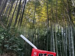-缙云山景区